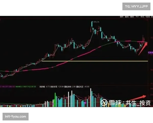 “数据模型预测：风暴对阳光一役，篮板球争夺将是胜负关键手”